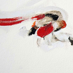 robis project3